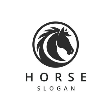 Horse logo vector design template