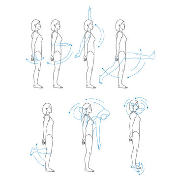 sagittal plane and coronal axis of flexion and extension movement of the human body illustration