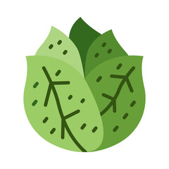 Lettuce Flat Icon Design