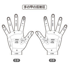 手の甲の反射区・手のつぼ　図解イラスト（モノクロ）