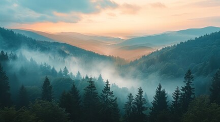 Obraz premium Mountain Forest Landscape With Mist And A Sunrise Sky