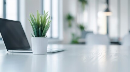 Fototapeta premium Tranquil Indoor Workspace with Potted Plant and Laptop