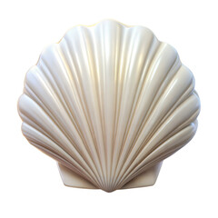shell on transparent background