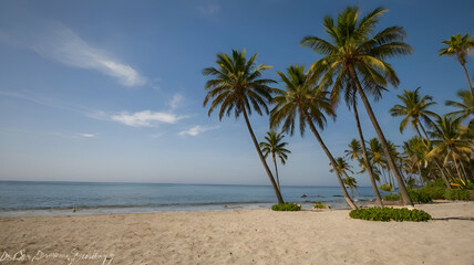 Fototapeta premium Tropical landscape with beach with coconut trees and beautiful clouds at sunset.