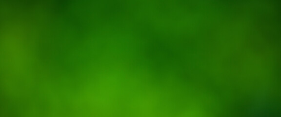 natural blurred background. bokeh green foliage shrubs and trees