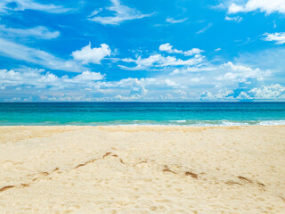 Aerial view sandy beach and waves crashing on sandy shore, Beautiful tropical sea surface background