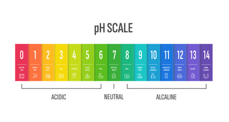 pH scale design. Color indicator chart how acidic, alkaline, basic water