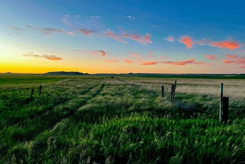 A rugged path forward into endless prairie under a pastel sunset