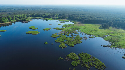 Birds in flight over marshy forest lake aerial view © AlexGo