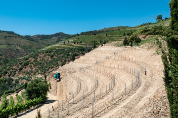 Escavadora a trabalhar num terreno agrícola para a preparação de socalcos destinados à...