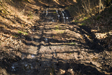 Tracing the Path of Adventure: Offroad Tyre Marks in the Forest Mud