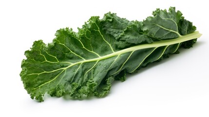 Fresh kale leaf on white background.