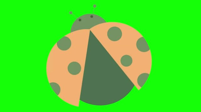 Ladybug Exploit Icon