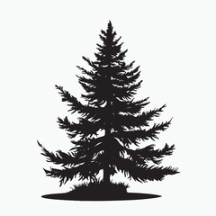 Obraz premium black silhouette of a alpine balsam tree in white background