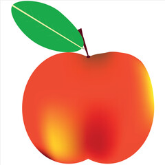 red apple with leaf on white background