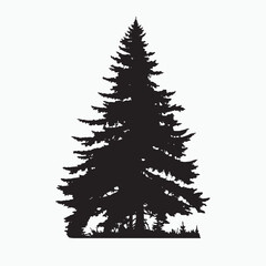 black silhouette of a alpine balsam tree in white background