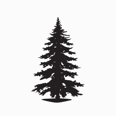Obraz premium black silhouette of a alpine balsam tree in white background