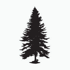 black silhouette of a alpine balsam tree in white background