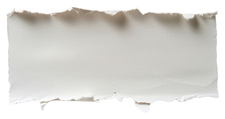 PNG  Scrapbook paper backgrounds torn.