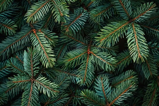 Green Christmas background consisting of only fir branches and pine cones with space for text. New Year card or desktop wallpaper.