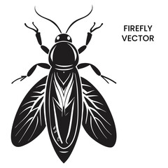 sketch firefly cute bug cartoon