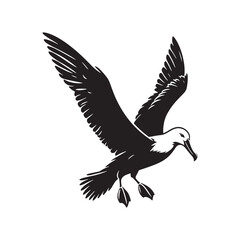 Albatross bird silhouette - albatross illustration - albatross black vector
