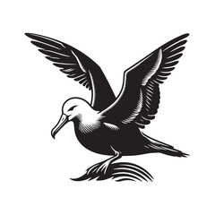 Albatross silhouette on clear background - albatross illustration - albatross black vector
