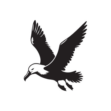 recommend clip art: Elegant albatross silhouette - minimallest albatross vector
                    
