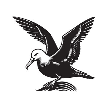 recommend clip art: Albatross silhouette on clear background - albatross illustration - albatross black vector
                    