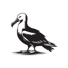 Elegant albatross bird silhouette - albatross illustration - albatross black vector
