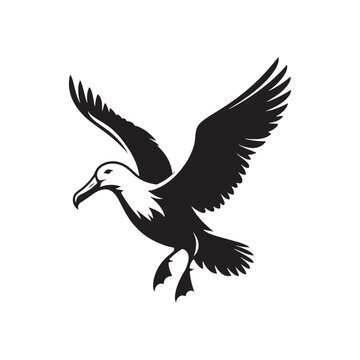 recommend clip art: Graceful albatross silhouette - albatross illustration - albatross black vector
                    