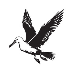 Albatross silhouette - albatross illustration - albatross black vector
