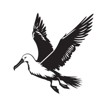 recommend clip art: Albatross silhouette - albatross illustration - albatross black vector
                    