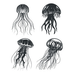 Jelly Fish Clipart © Design Spread