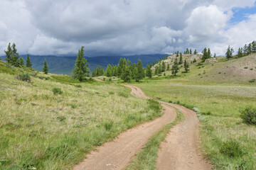 Dirt road in the mountains. Altai, Siberia, Russia