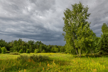 Storm clouds hung over the meadow and forest. It will rain soon.