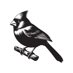 Simple cardinal silhouette figure - minimallest cardinal vector
