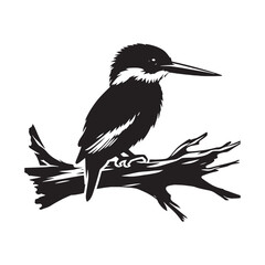Kingfisher silhouette vector - kingfisher illustration - kingfisher black vector
