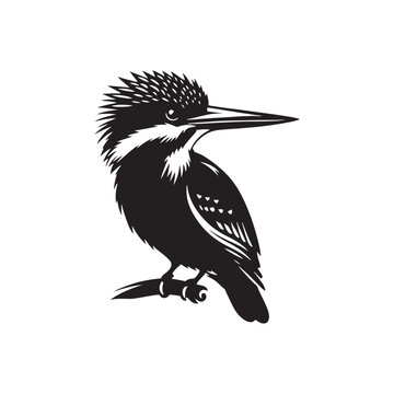 recommend clip art: Detailed kingfisher silhouette shape - kingfisher illustration - kingfisher black vector
                    
