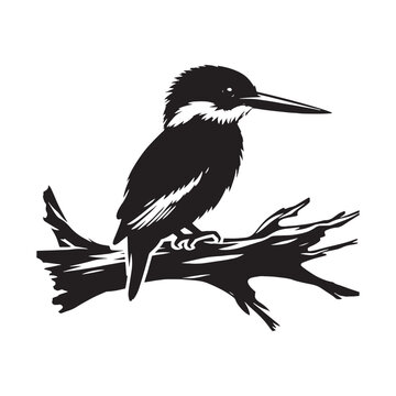 recommend clip art: Kingfisher silhouette vector - kingfisher illustration - kingfisher black vector
                    