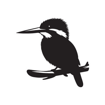 recommend clip art: Kingfisher silhouette element - minimallest kingfisher vector
                    