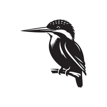 recommend clip art: Kingfisher bird silhouette symbol - kingfisher illustration - kingfisher black vector
                    