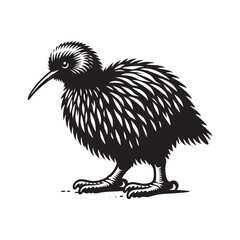 Kiwi silhouette on white background - kiwi illustration - kiwi black vector