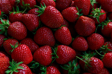 Red ripe strawberries background. Close up, top view.