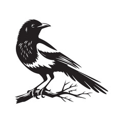 Obraz premium Magpie silhouette isolated - minimallest magpie vector 