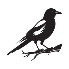 Obraz premium Magpie silhouette shape variation - minimallest magpie vector