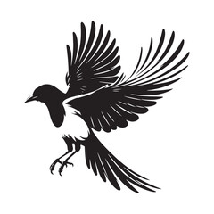Obraz premium Magpie silhouette emblem design - magpie illustration - magpie black vector