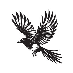 Obraz premium Simplified magpie silhouette - magpie illustration - magpie black vector