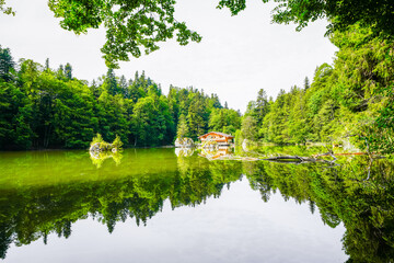 View of the Berglsteiner Lake with the surrounding green nature. Idyllic mountain lake in the Alpbachtal in Tyrol near Kufstein. Landscape in Austria.
