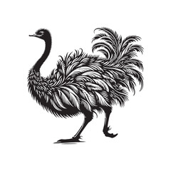 Ostrich silhouette shape variation - minimallest ostrich vector
